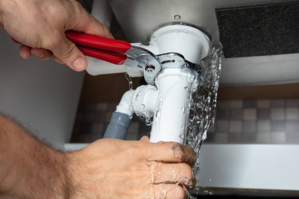 Best Professional water damage repair  in Plumsteadville, PA