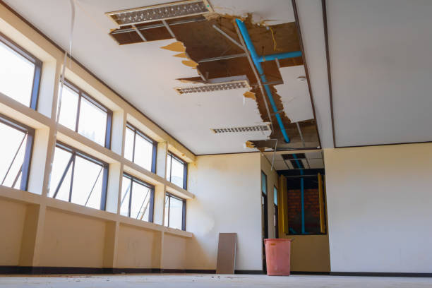 Best Water damage contractors near me  in Plumsteadville, PA