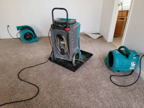 Best Basement water damage restoration  in Plumsteadville, PA