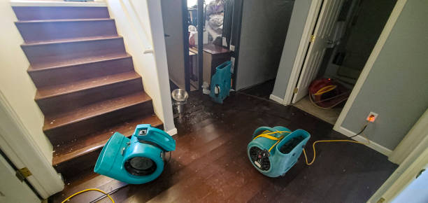 Best Fire Damage Restoration  in Plumsteadville, PA