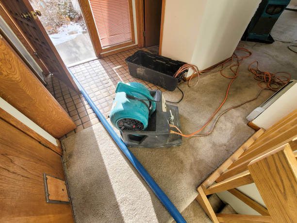 Best Carpet water damage restoration  in Plumsteadville, PA