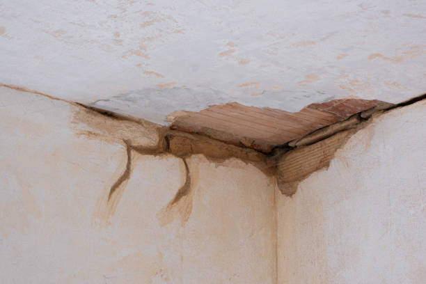 Best Water damage cleanup near me  in Plumsteadville, PA