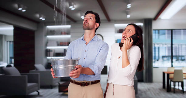 Best Water damage restoration near me  in Plumsteadville, PA